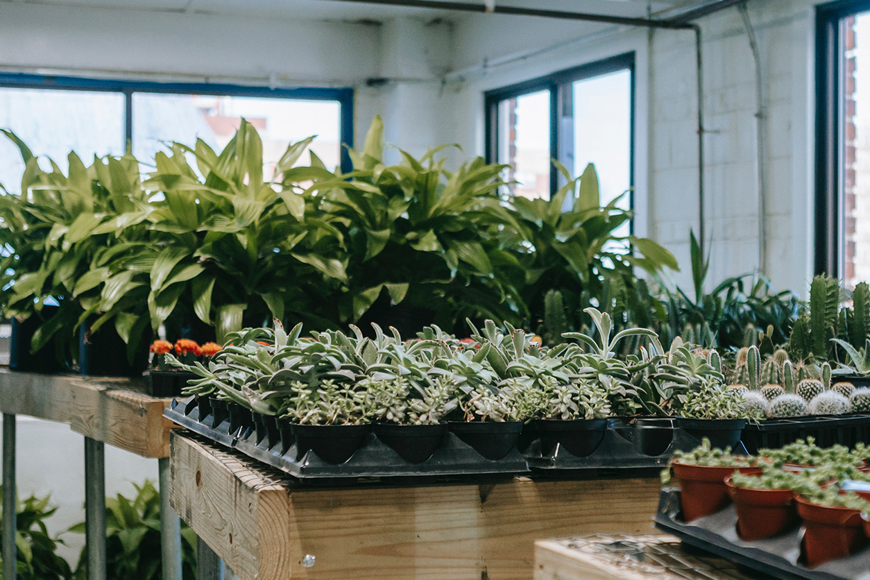 Horticulture & Gardening Supplies